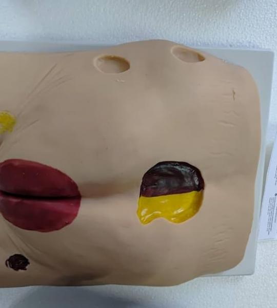 ARTSY Nursing Trainer for Decubitus