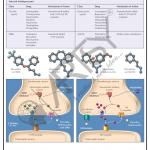 Pharmacology