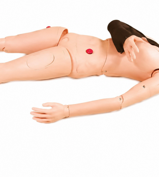 Basic fracture and dislocation management trainer