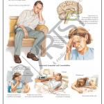 Pharmacology