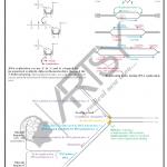 Bio Chemistry Chart