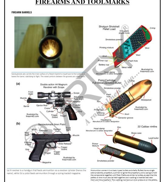 FMT Forensic Chart