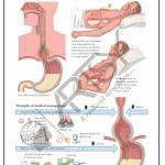 Pharmacology
