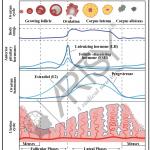 Anatomy Charts