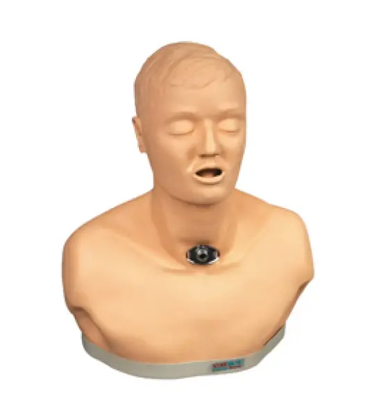 Adult Tracheotomy Care Manikin