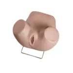 Advanced Gynecological Examination Simulator