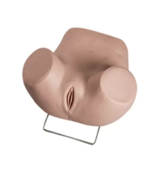 Advanced Gynecological Examination Simulator