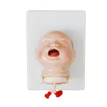 Baby Intubation Model