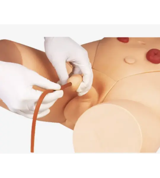 Catheterization Training Simulator(Male)