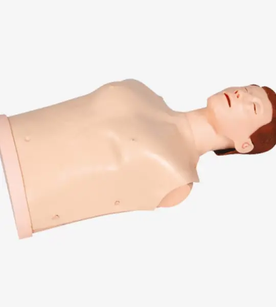 Half Body CPR Training Manikin