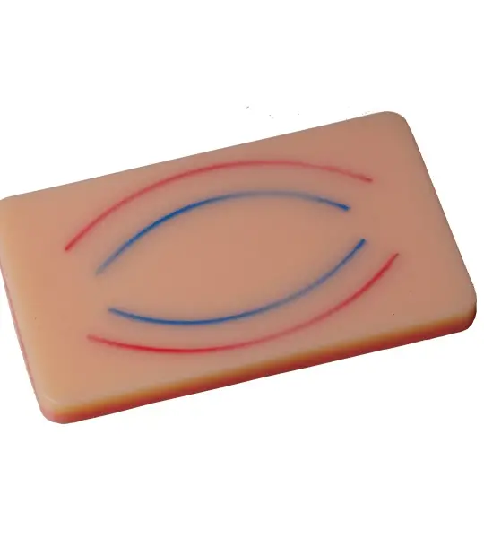 Arterial and Venous Injection Training Pad