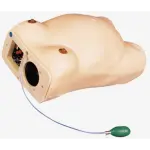 Maternity Examination Simulator