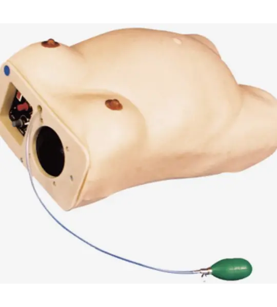 Maternity Examination Simulator
