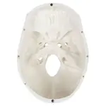 Rodger Human Skull Model - Life Size With Articulating Jaw & Removable Skull Cap