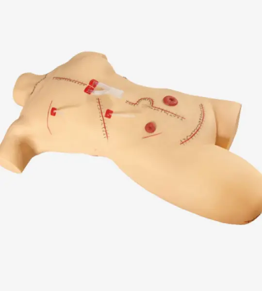 Surgical Suturing and Bandage Simulator
