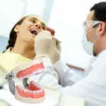 Typodont Dental Model (32 Teeth) with Soft Gingiva And Screw Driver