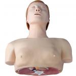 Basic CPR Training Model (Half Body)