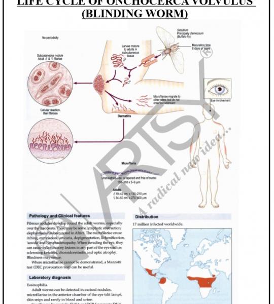 Microbiology Charts
