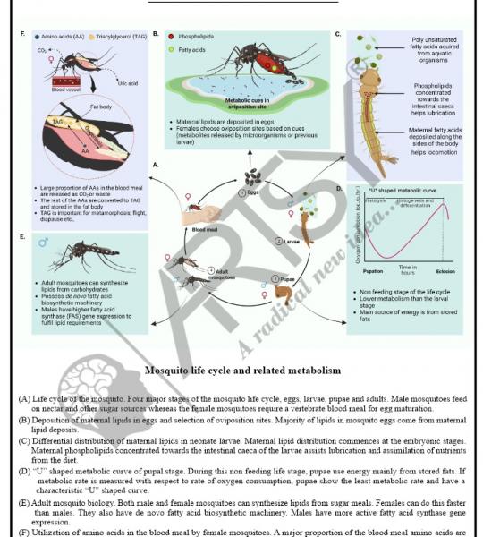 Microbiology Charts