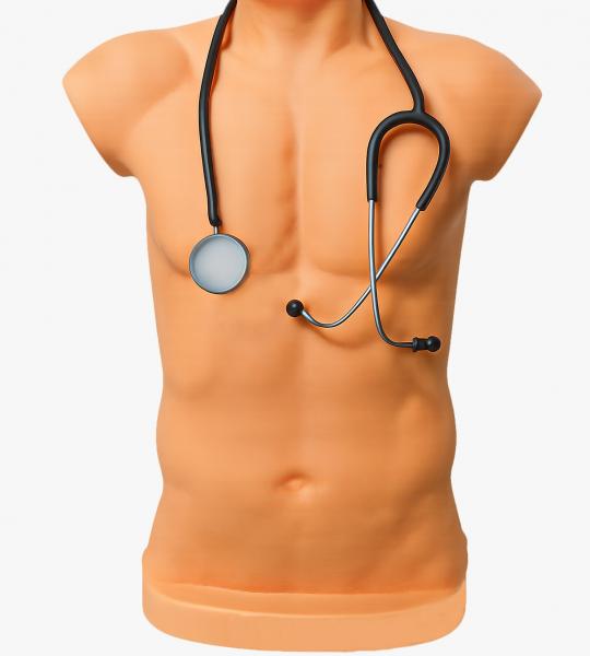 Adult Auscultation Trainer