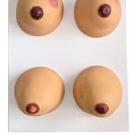 Breast Examination Model