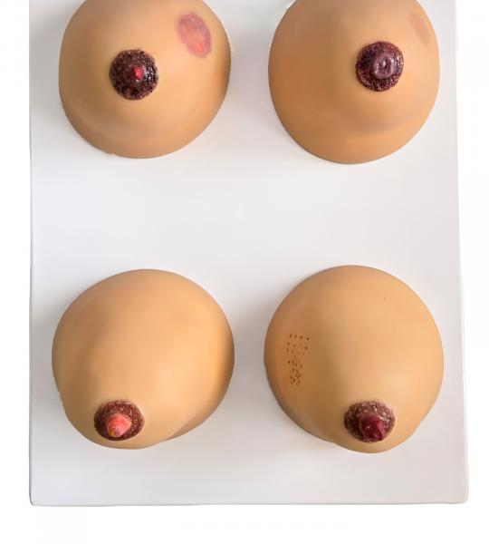 Breast Examination Model
