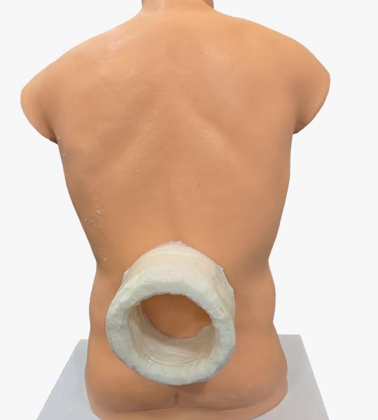 KATI – MANYA – PRUSHTA BASTI TRAINING MANIKIN
