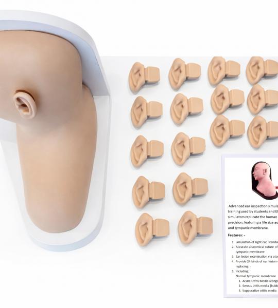 Otoscopy Trainer