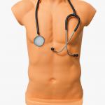 Chest auscultation trainer (Basic) Ideal for Kriya Sharir