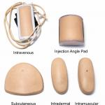 Injections (intra-muscular, intra-venous, intra-dermal, subcutaneous, intraarterial, intra-articular and intra-cardiac)