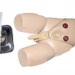 Urinary catheterization – male (same to be used for uttara basti)