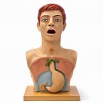 Stomach wash trainer