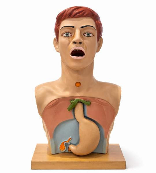 Stomach wash trainer