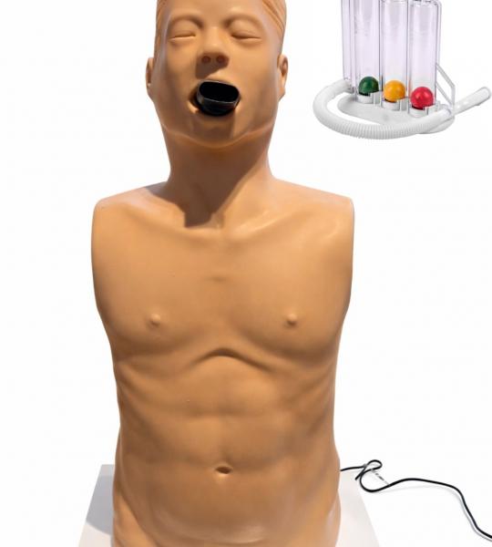 Spirometry Simulator