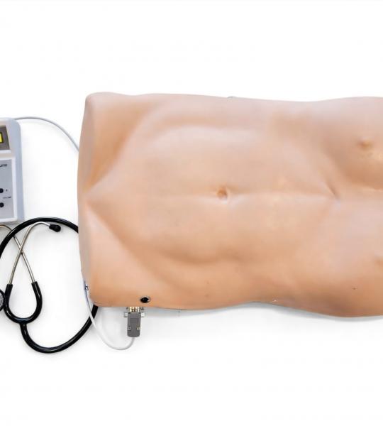 Abdominal examination simulator