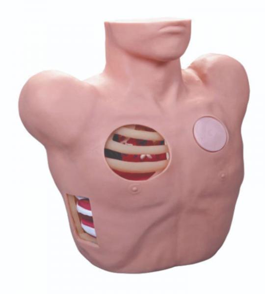 Pleural and Ascitic Aspiration Trainer