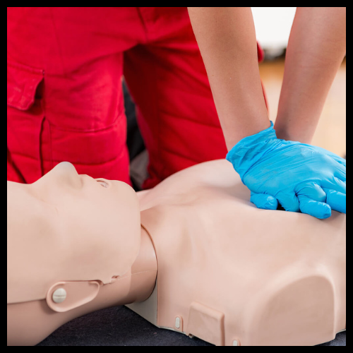 Adult Cpr Manikin